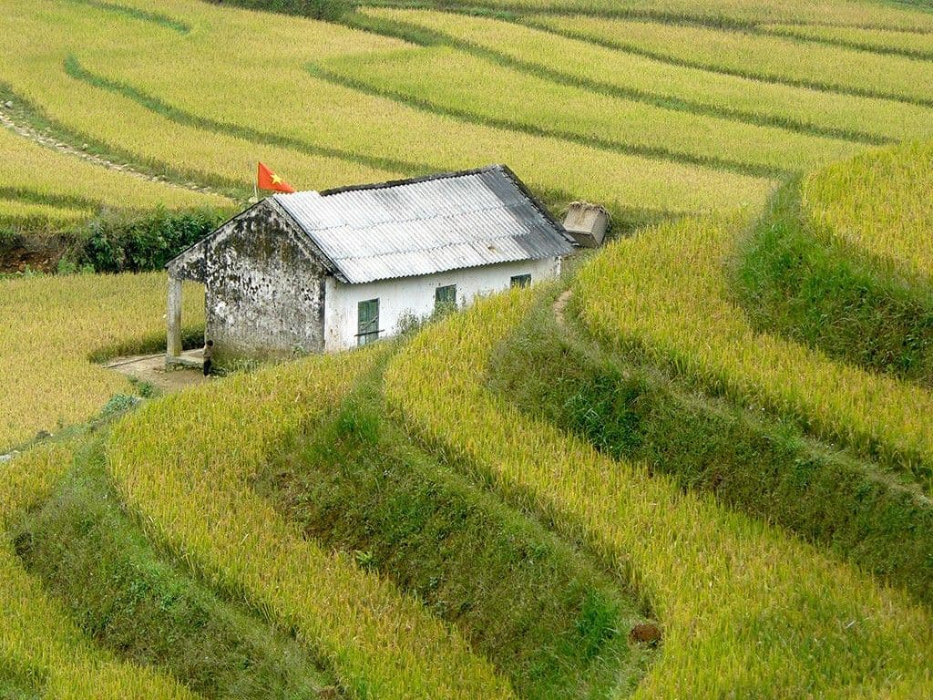 Sapa Vietnam Travel Guide DAMAN