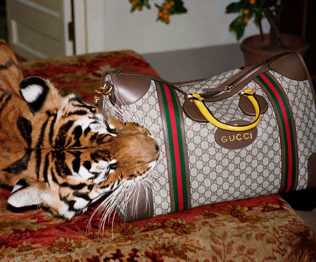 Gucci SS17 Ad Campaign - 2