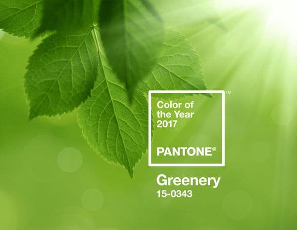 pantone-color-of-the-year-2017-greenery