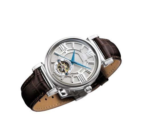 DAMAN Watch Arbutus the beauty of a watch dial