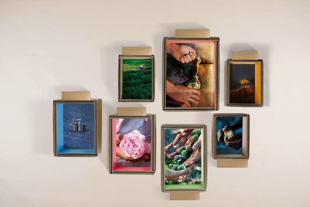l'occitane 40th anniversary-boxes