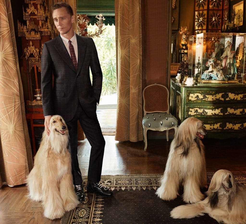 Gucci - Tom Hiddleston 3