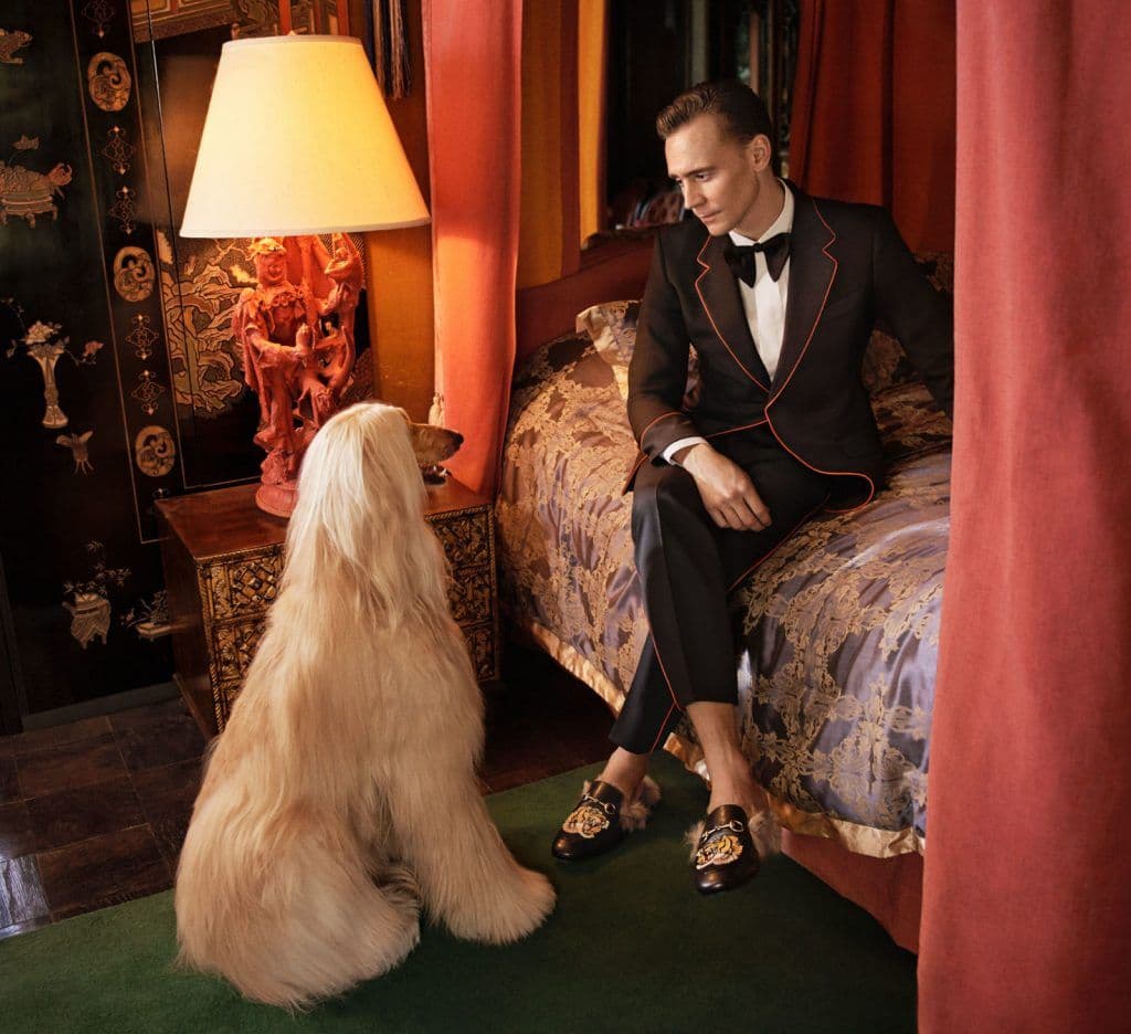 Gucci - Tom Hiddleston 4