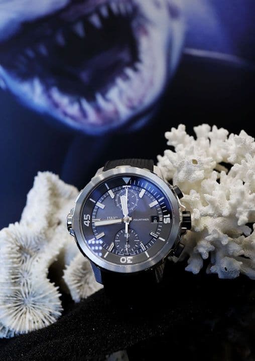 IWC Launches The Aquatimer Edition Sharks With Special Guests Michael Mueller And Taschen