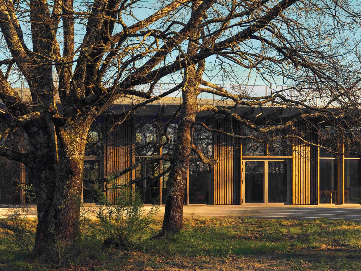 The wooded landscape surrounding the Loupes workshop